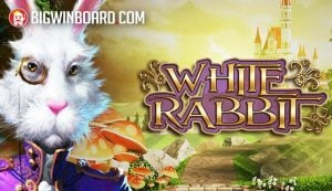 วิธี ฝาก ถอน บา คา ร่า แบบสนุกและง่ายสุดๆ